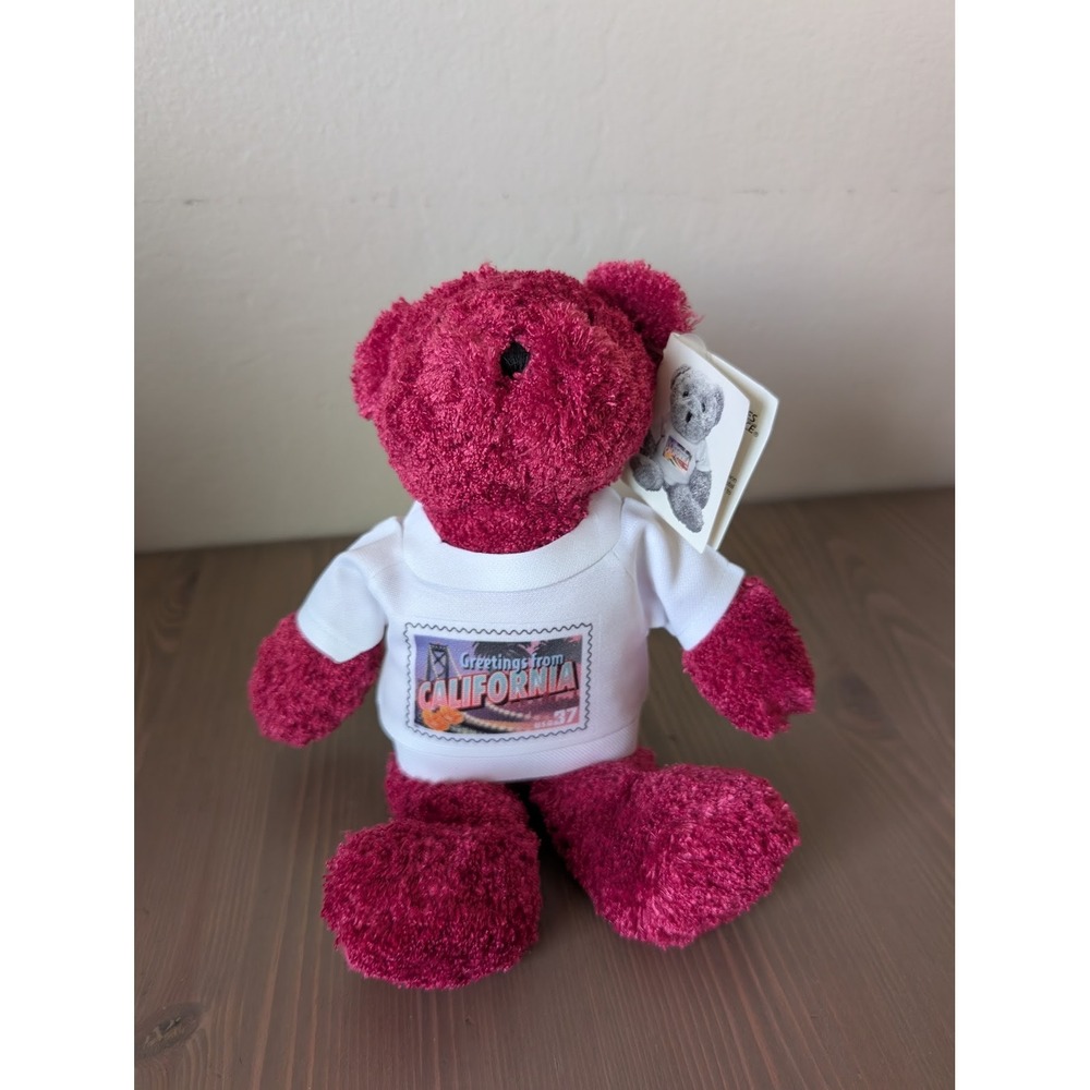 USPS‎ Greetings from California 9" Shaggy Magenta Teddy Bear Plush Travel State